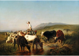 VN-8 Adolf Schreyer - Krávy a ovce s pastýřem v krajině