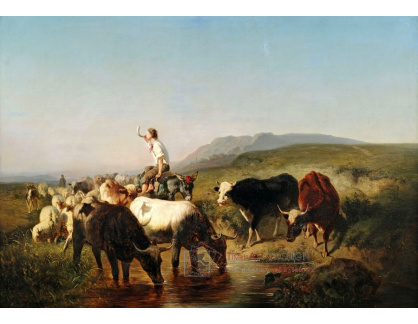 VN-8 Adolf Schreyer - Krávy a ovce s pastýřem v krajině