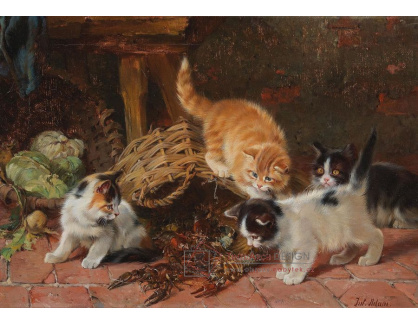 DDSO-1736 Julius Adam - Čtyři koťata a rak