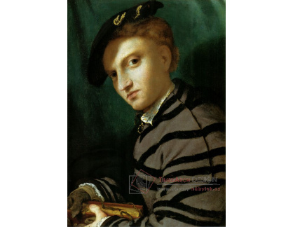 VLL 35 Lorenzo Lotto - Portrét mladého muže s knihou