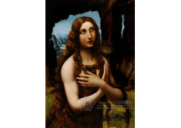 DDSO-2878 Leonardo da Vinci - Kajícná Magdaléna