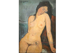 D-7747 Amedeo Modigliani - Ženský akt