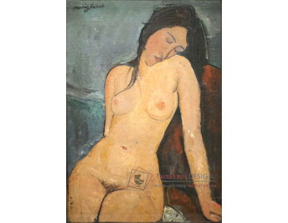 D-7747 Amedeo Modigliani - Ženský akt