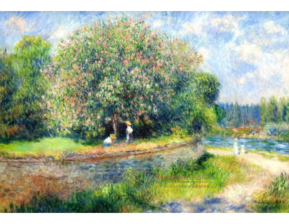 VR14-30 Pierre-Auguste Renoir - Kvetoucí kaštan