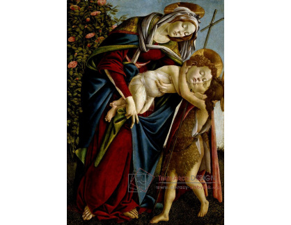 VR17-13 Sandro Botticelli - Madonna s děťátkem a svatý Jan Křtitel