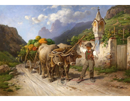 SO XIII-5 Adolf van der Venne - Bohatá úroda