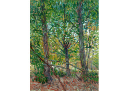 A-3243 Vincent van Gogh - Stromy