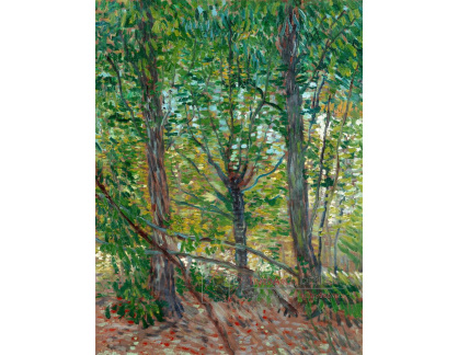 A-3243 Vincent van Gogh - Stromy