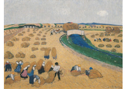 D-8110 Broncia Koller-Pinell - Sklizeň