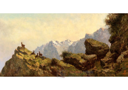 D-9886 Neznámý autor - Kamzík na římse ve vysokých horách