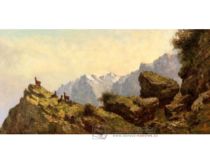 D-9886 Neznámý autor - Kamzík na římse ve vysokých horách