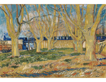 A-10 Vincent van Gogh - Modrý vlak