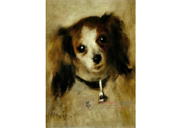 VR14-233 Pierre-Auguste Renoir - Hlava psa