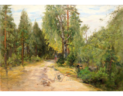 SO XIV-299 Elias Muukka - Žena na lesní cestě