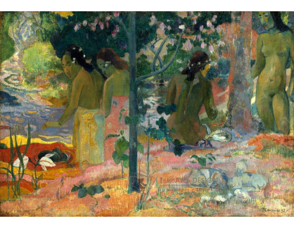 D-7541 Paul Gauguin - Koupající se