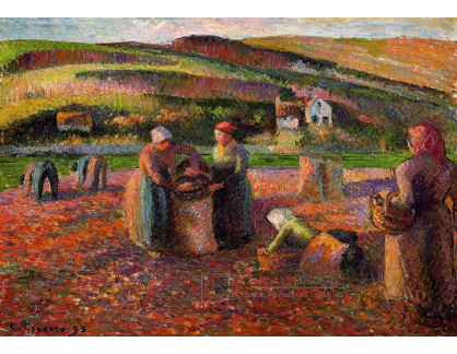 VCP-195 Camille Pissarro - Sklízeň brambor