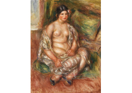 A-8591 Pierre-Auguste Renoir - Sedící Odaliska