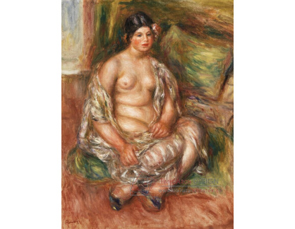 A-8591 Pierre-Auguste Renoir - Sedící Odaliska