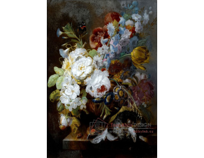 VKZ 511 Joris-Frederik Ziesel - Zátiší s vázou květin