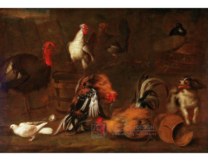 D-8882 Melchior de Hondecoeter - Kuřata a krůta se psem ve dvoře