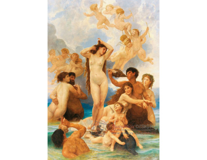 D-9229 William Adolphe Bouguereau - Zrození Venuše