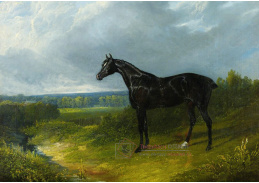 KO IV-206 John Frederick Herring - Černý kůň v krajině
