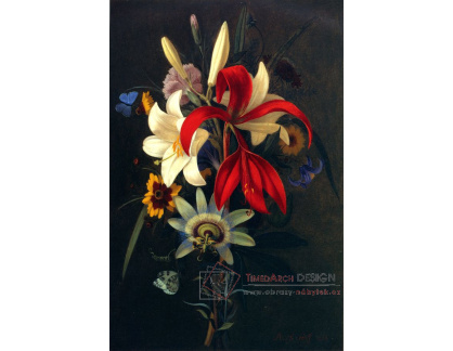 VKZ 15 Adolf Senff - Zátiší s liliemi a jinými květinami