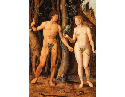 A-2917 Maerten van Heemskerck - Adam a Eva