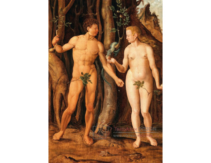 A-2917 Maerten van Heemskerck - Adam a Eva