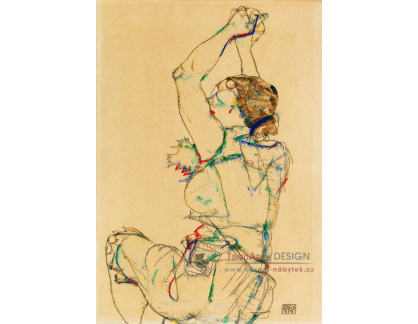 D-6046 Egon Schiele - Žena se zvednutými pažemi