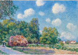 D-6588 Alfred Sisley - Kolem lesa