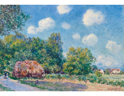 D-6588 Alfred Sisley - Kolem lesa