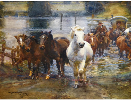 KO III-372 Alfred James Munnings - Přechod řeky