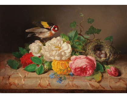 DDSO-4550 Josef Lauer - Zátiší s květinami, ptáčkem a ptačím hnízdem