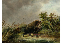 A-8624 Carl Friedrich Ockert - Kanec