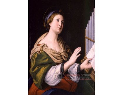 SO XVII-284 Giovani Battista Salvi - Svatá Cecilie