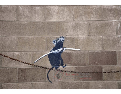 Banksy VR51-12