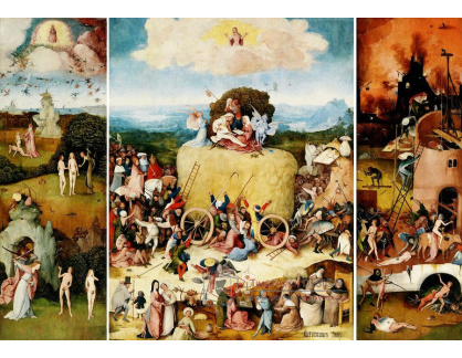 DDSO-3588 Hieronymus Bosch - Vozy sena