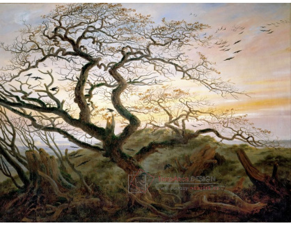 A-1663 Caspar David Friedrich - Strom vran