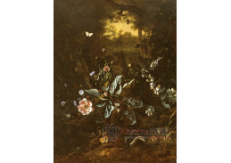 A-8108 Rachel Ruysch - Lesní zátiší s hadem a žábou