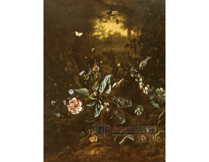 A-8108 Rachel Ruysch - Lesní zátiší s hadem a žábou