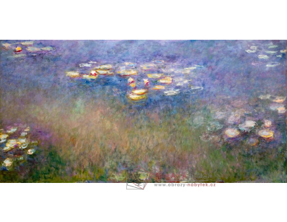 D-8331 Claude Monet - Lekníny