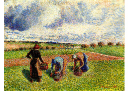 VCP-380 Camille Pissarro - Rolníci při sběru plodin v Eragny