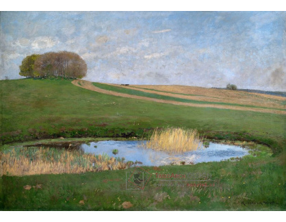 SO IV-166 Hans Richard von Volkmann - Letní krajina s rybníkem