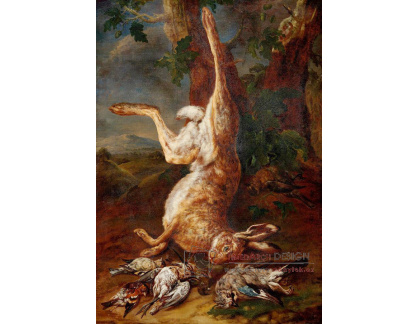 KO V-159 Philipp Ferdinand de Hamilton - Lovecké zátiší se zabitým zajícem
