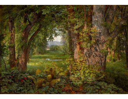 A-897 William Trost Richards - V lese