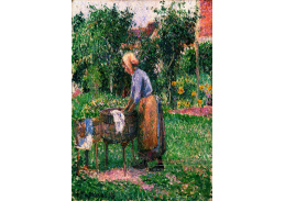 VCP-483 Camille Pissarro - Pradlena v Eragny