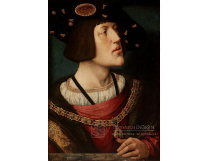XV-232 Barend van Orley - Portrét Karla V