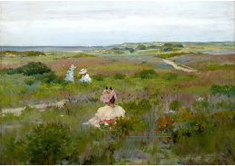 A-2545 William Merritt Chase - Krajina na Long Island