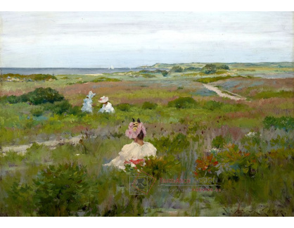 A-2545 William Merritt Chase - Krajina na Long Island